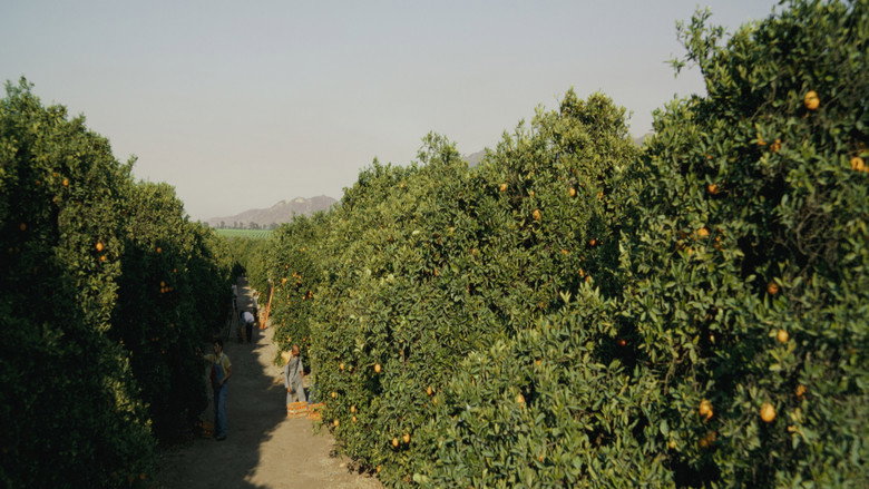 кадр из фильма Manongs