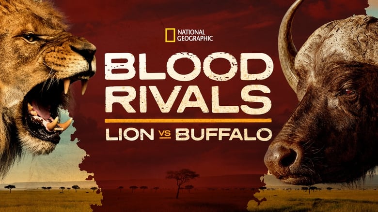 кадр из фильма Blood Rivals: Lion vs Buffalo