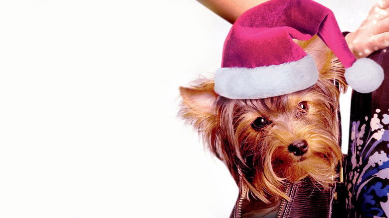 кадр из фильма Monster & Me