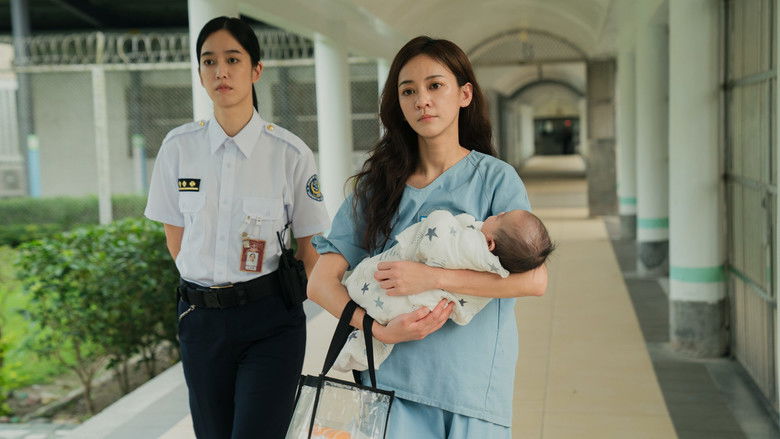 кадр из фильма 陽光女子合唱團