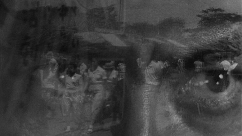 кадр из фильма Бездомный пес