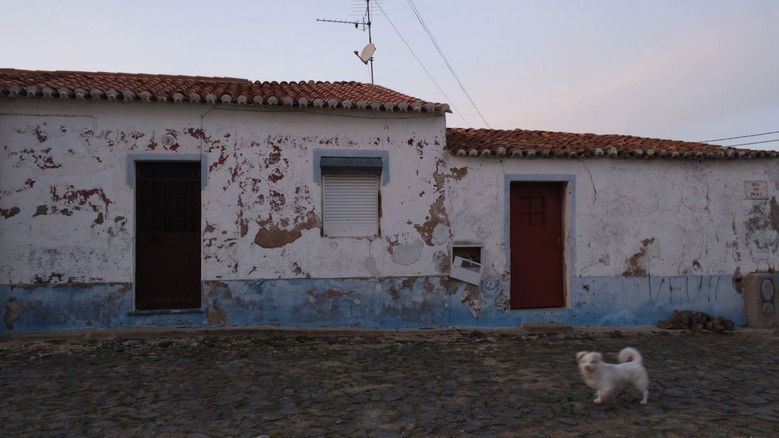 кадр из фильма Ceifeira