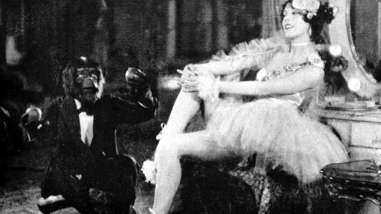 кадр из фильма The Monkey Talks