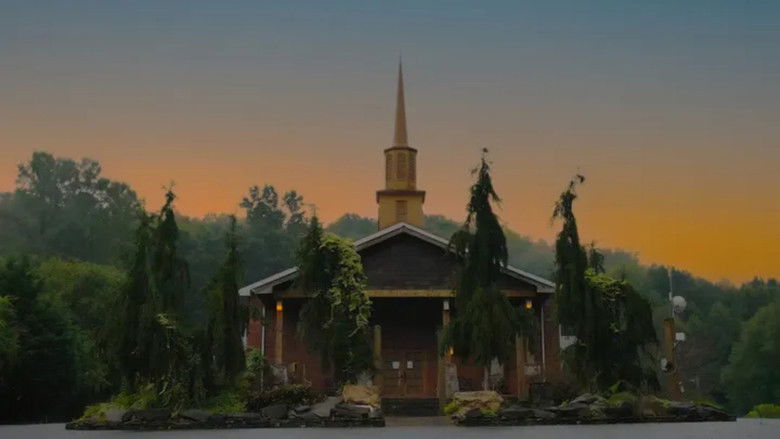 кадр из фильма The Grove