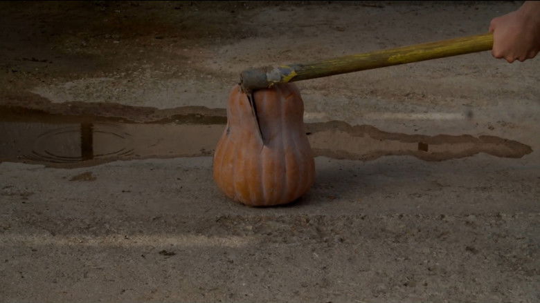 кадр из фильма ΚΑΤΑΣΤΑΣΗ ΚΑΡΑΟΥΛΙ