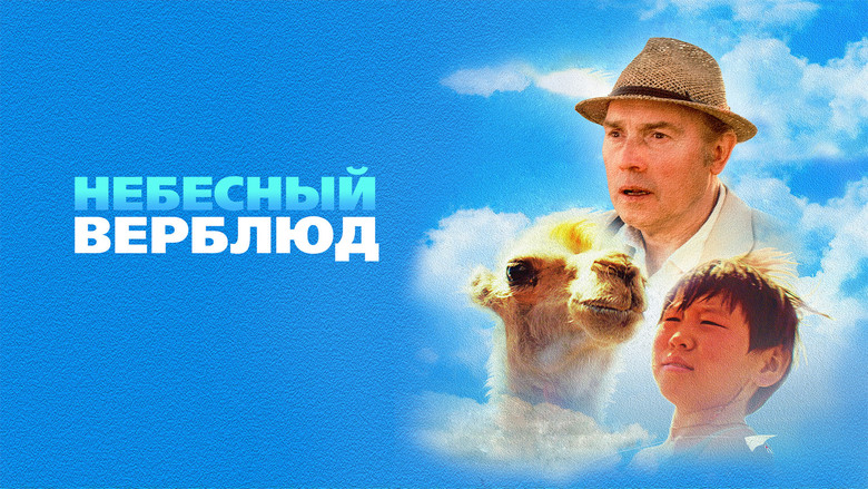 кадр из фильма Небесный верблюд