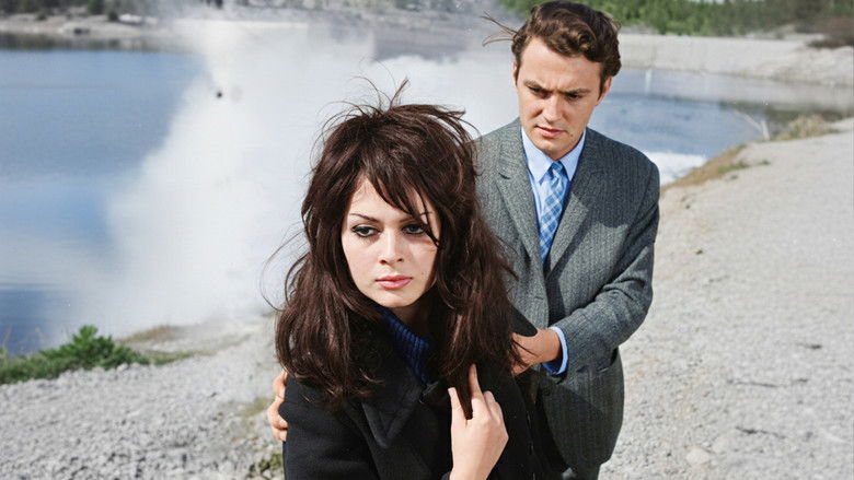 кадр из фильма Vahşi Gelin