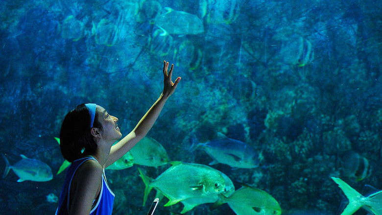 кадр из фильма Рай океана