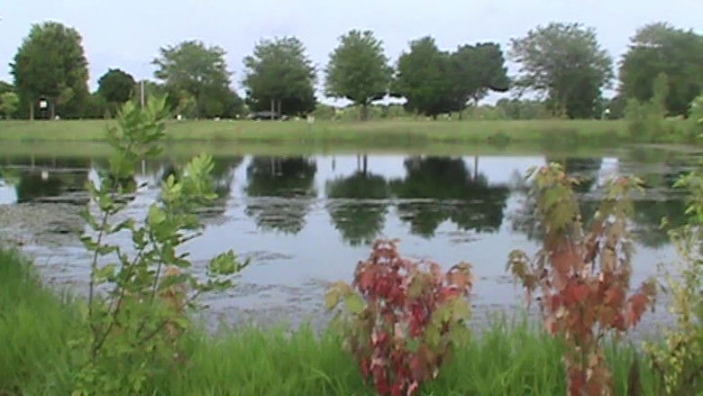 кадр из фильма walk