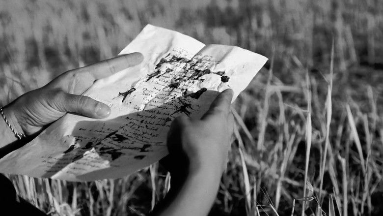 кадр из фильма Nameyên ji Şengal