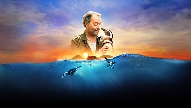 кадр из фильма Мой пингвин