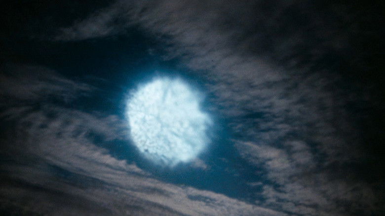 кадр из фильма Когда на земле царили динозавры