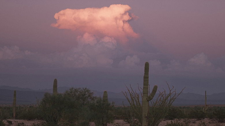 кадр из фильма Spare My Bones, Coyote!