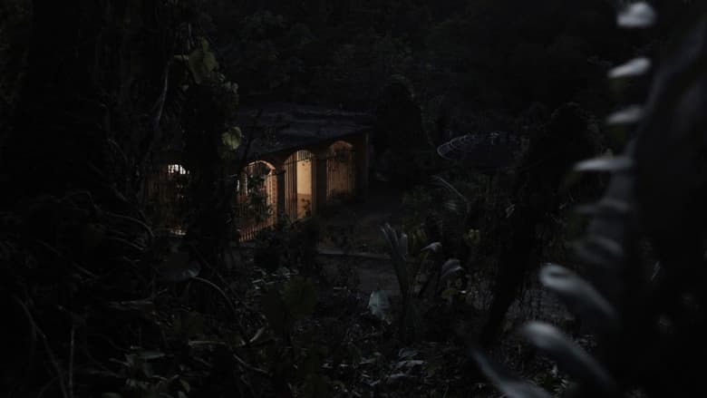 кадр из фильма Desvío de noche