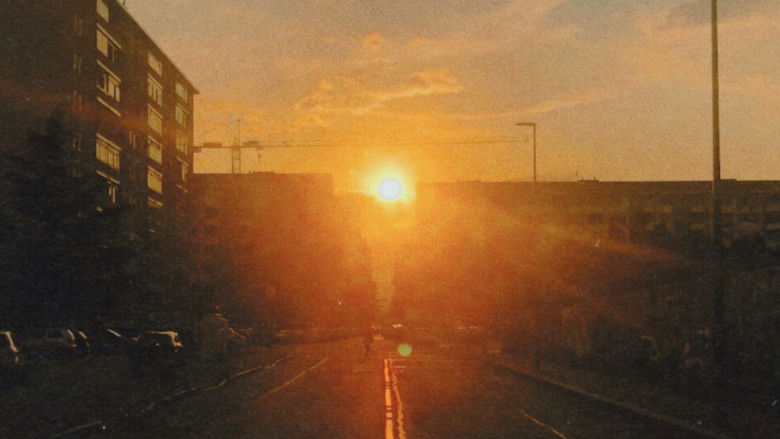 кадр из фильма Polvere in Sala