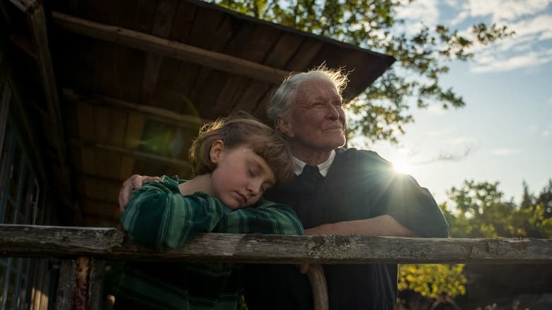 кадр из фильма The Summer Book