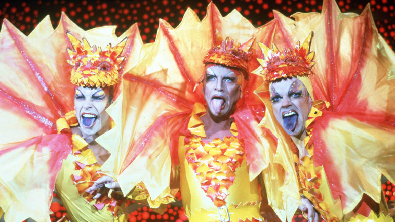 кадр из фильма Приключения Присциллы, королевы пустыни