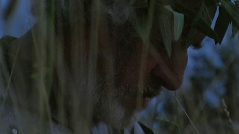 кадр из фильма Рыцарская честь