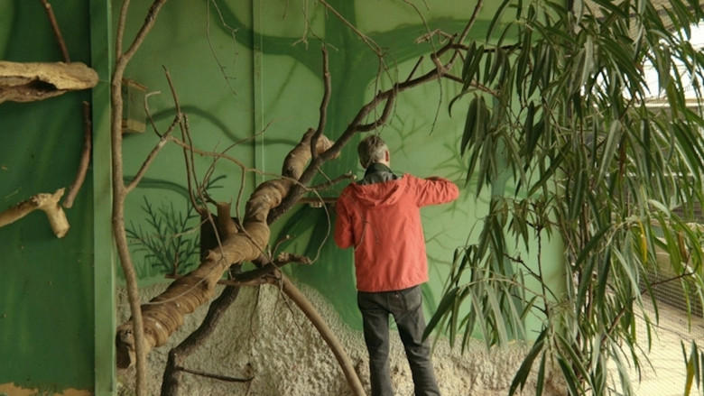 кадр из фильма Até onde o mundo alcança