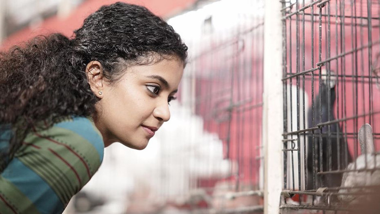 кадр из фильма ഹെലൻ