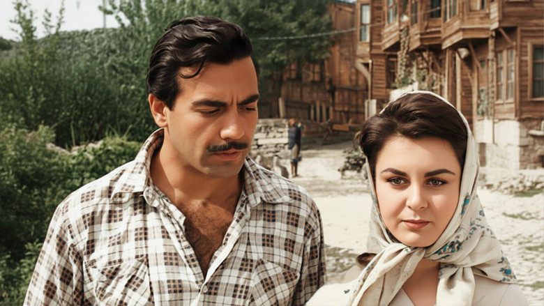 кадр из фильма Avare Mustafa