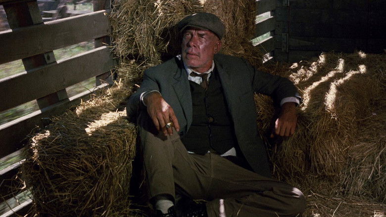 кадр из фильма Император севера