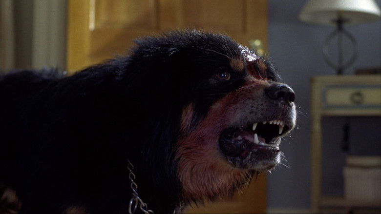 кадр из фильма Лучший друг человека