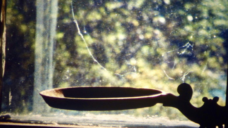 кадр из фильма Dedication: Bernice Hodges