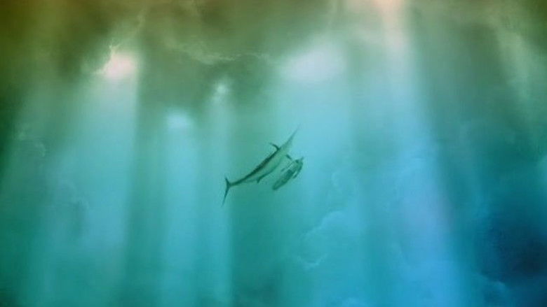 кадр из фильма Старик и море