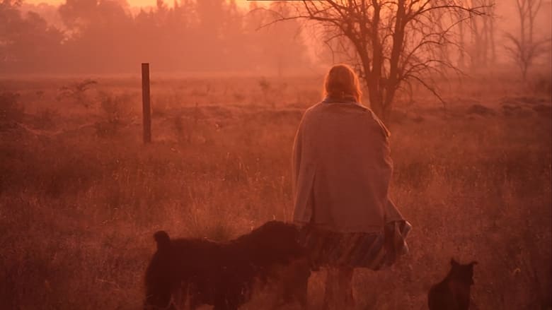 кадр из фильма La mujer de los perros