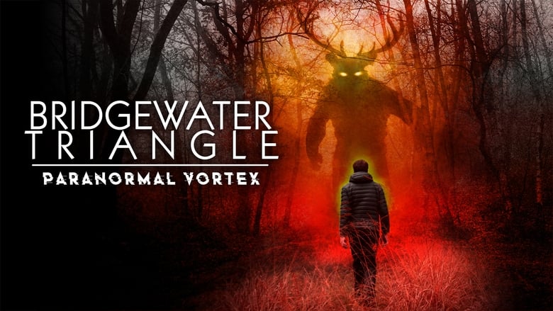 кадр из фильма Bridgewater Triangle: Paranormal Vortex