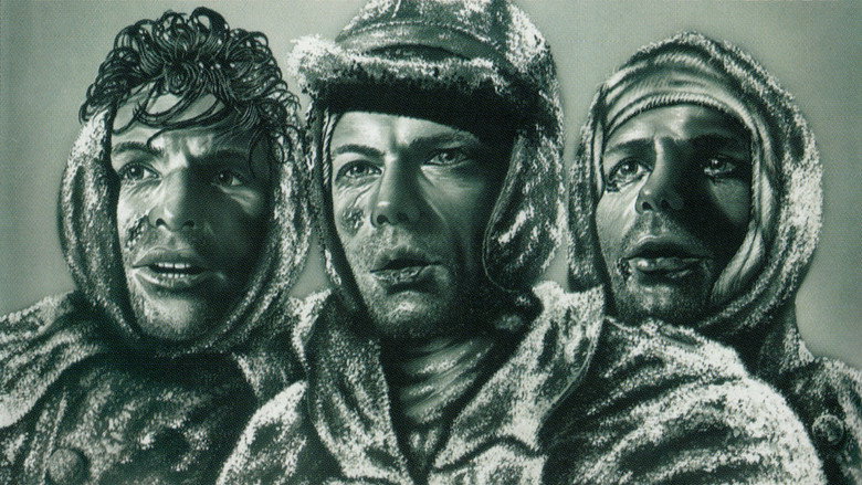 Lettres de Stalingrad