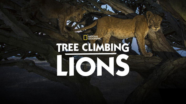 кадр из фильма Tree Climbing Lions