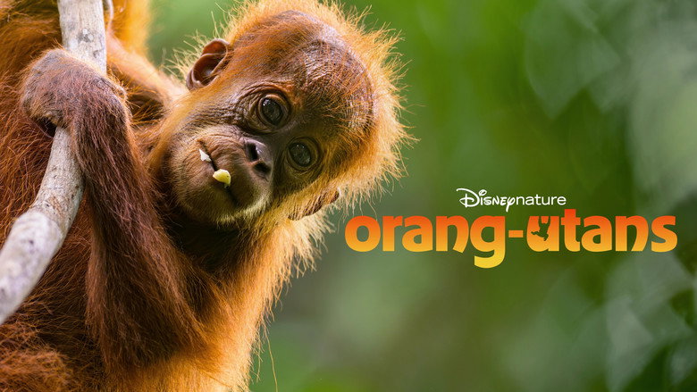 кадр из фильма Orangutan