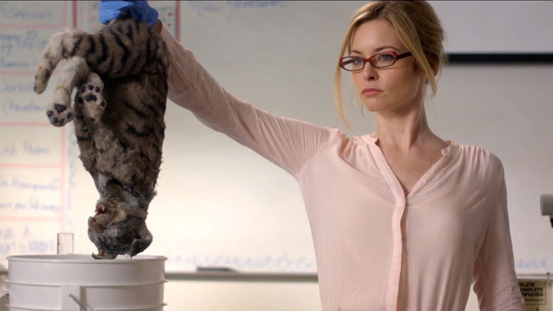 кадр из фильма Крабы!