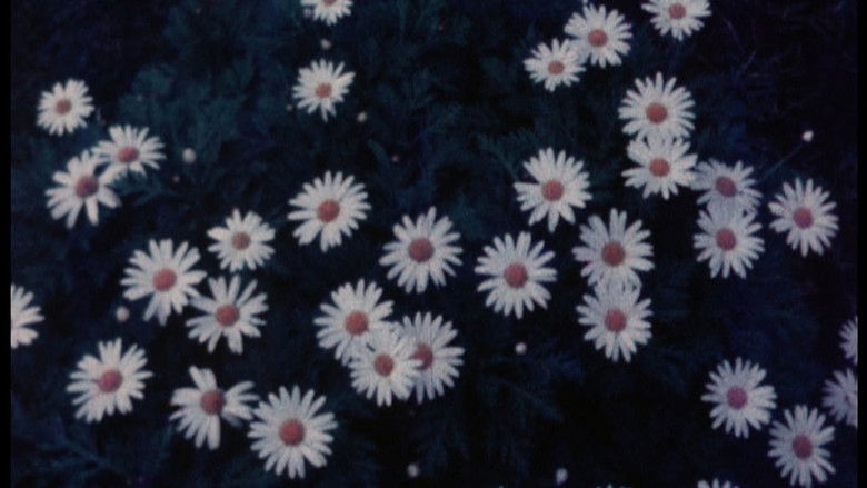 кадр из фильма Ofrenda