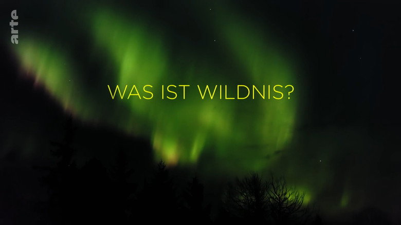 кадр из фильма What is Wilderness?