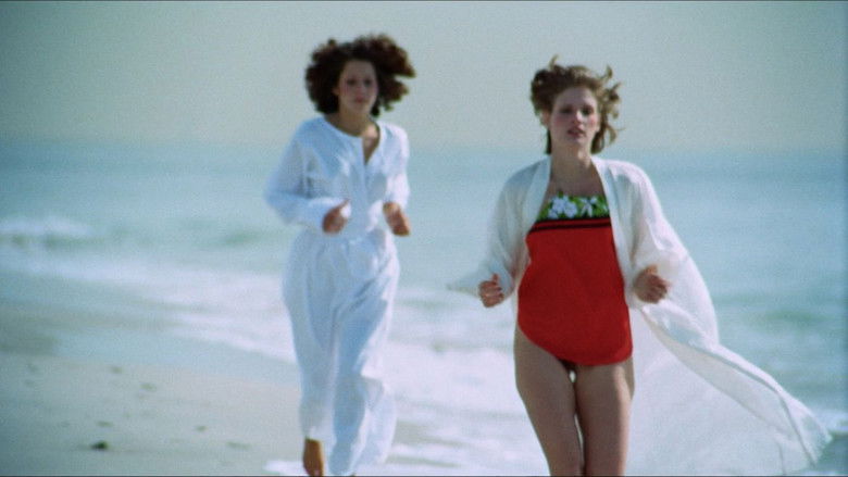 кадр из фильма The Vixens of Kung Fu (A Tale of Yin Yang)