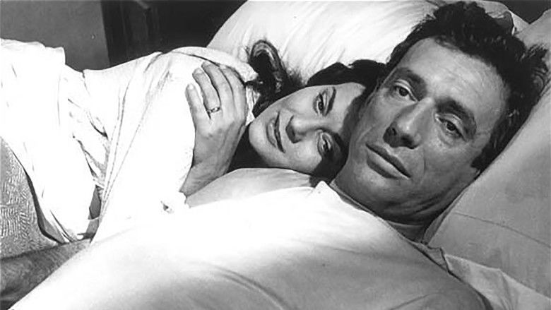 кадр из фильма Большая голубая дорога