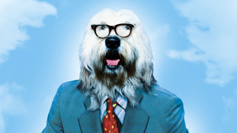 кадр из фильма Лохматый прокурор