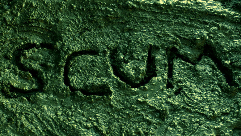 кадр из фильма SCUM