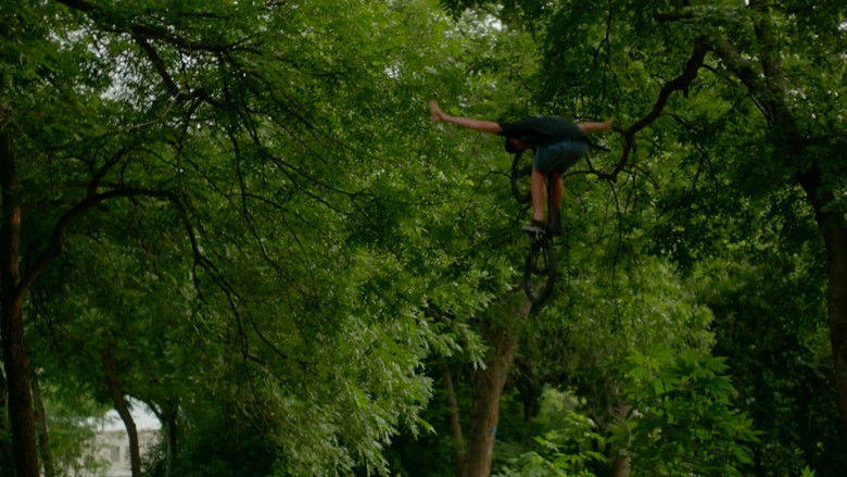 кадр из фильма Birds