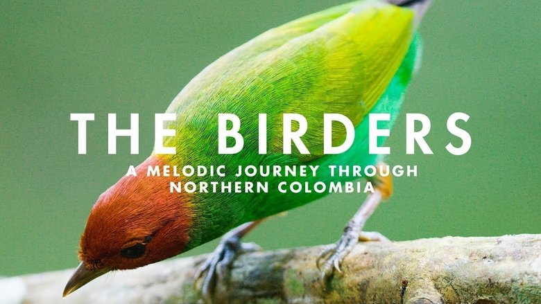 кадр из фильма The Birders