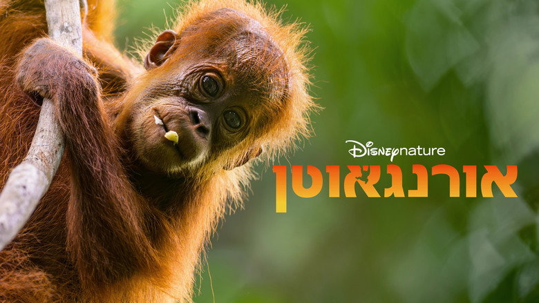 кадр из фильма Orangutan