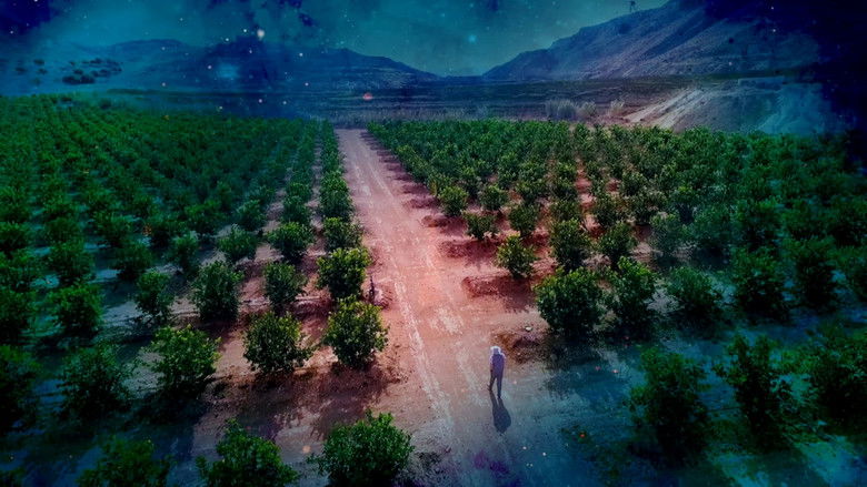 кадр из фильма Las pirámides murcianas