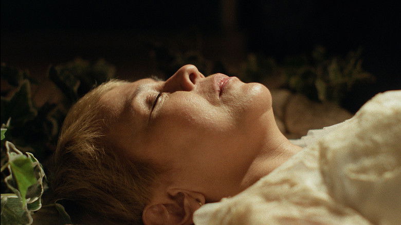 кадр из фильма Призрачный свет