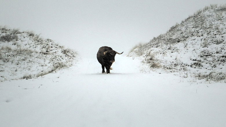 кадр из фильма Rouw