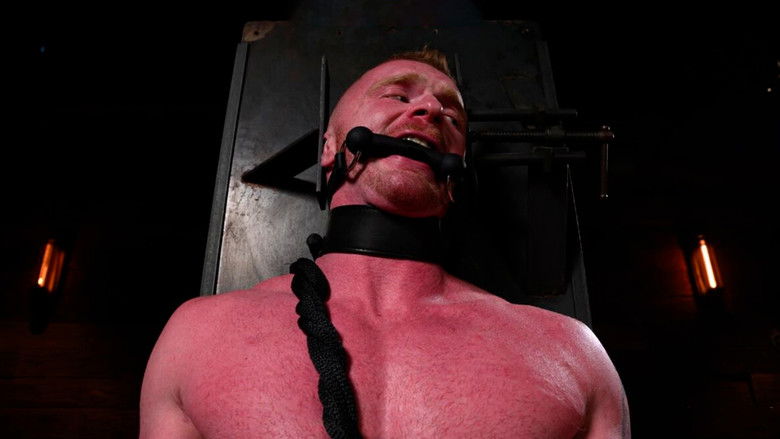 кадр из фильма The Adventure of Brody Fox