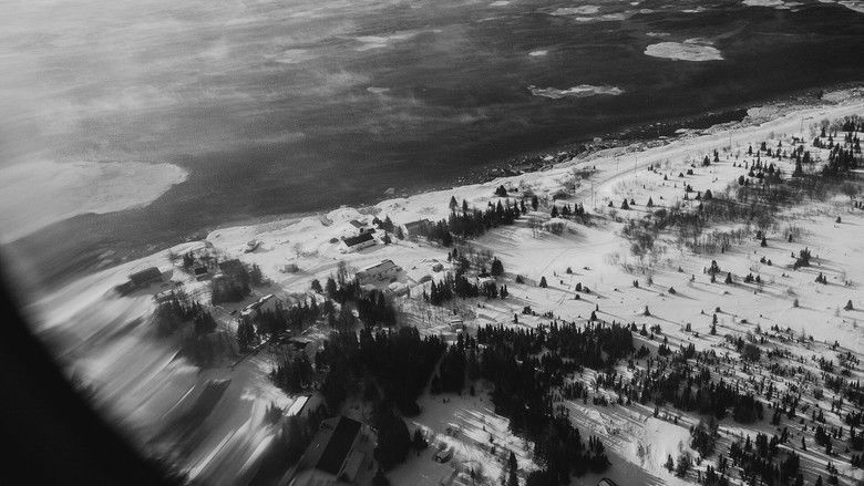 кадр из фильма The Magnitude of All Things