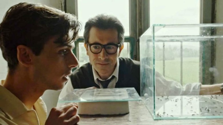 кадр из фильма Повелитель муравьёв